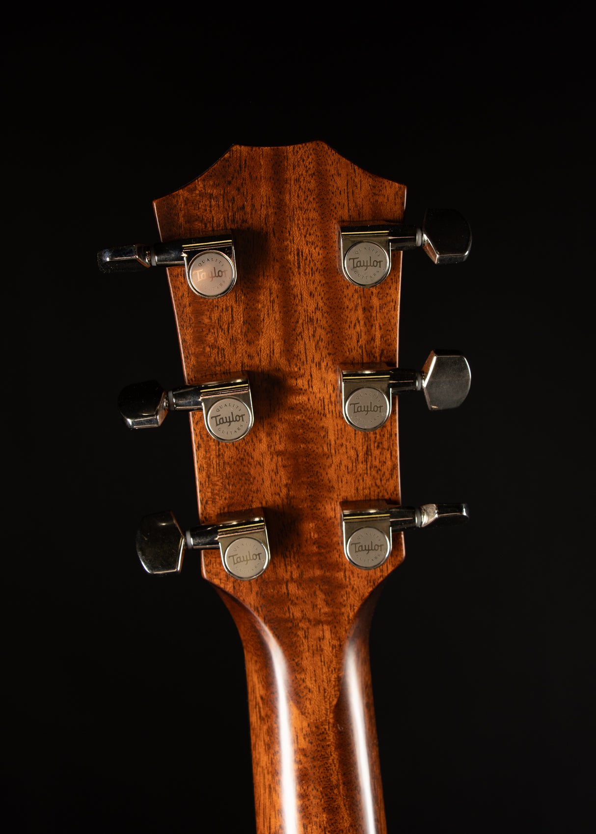 2023 Taylor 417e-R Sunburst