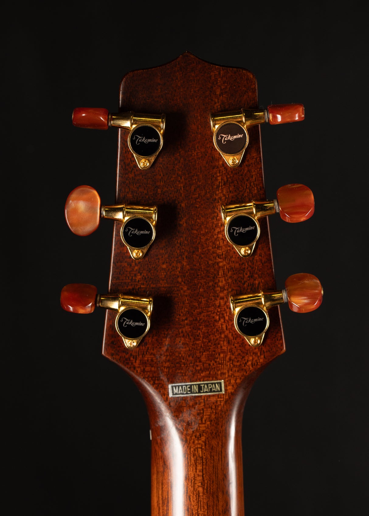 1993 Takamine EN-10 Natural