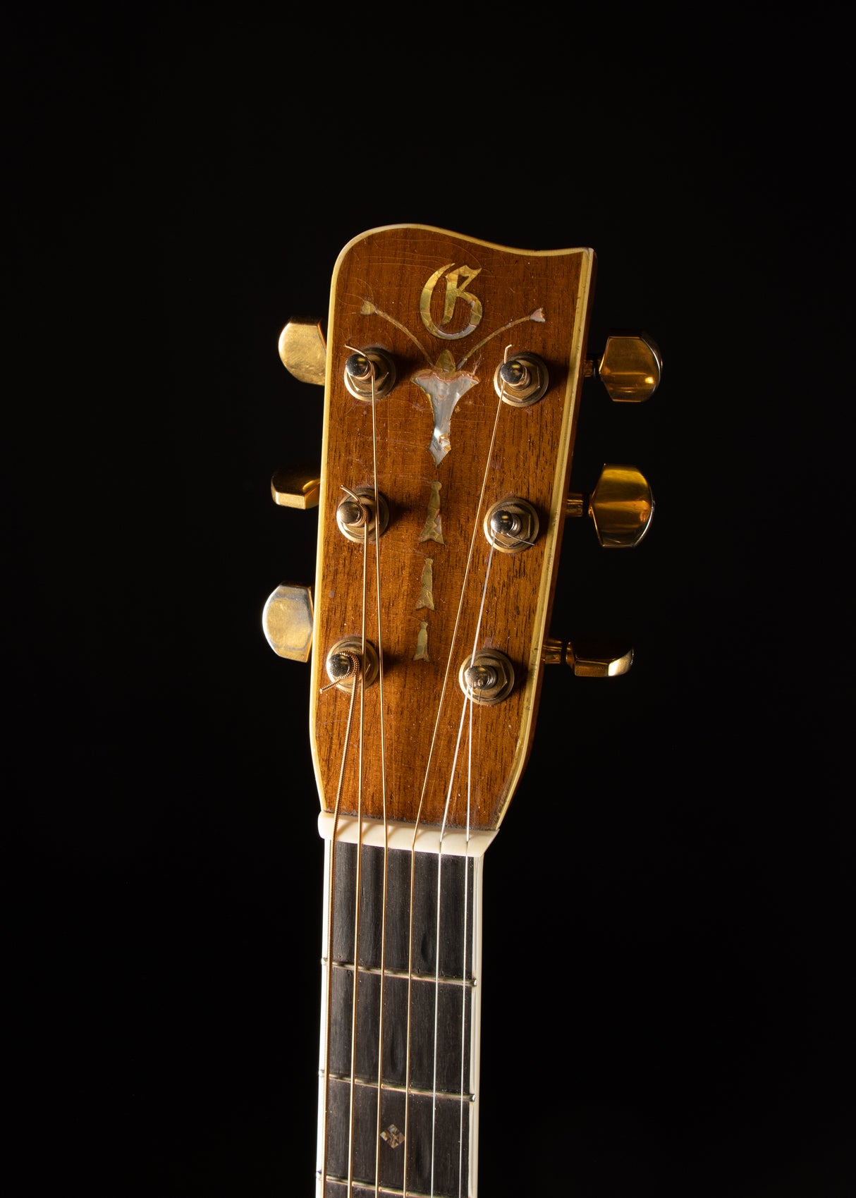 1979 Gallagher 71-Special Natural