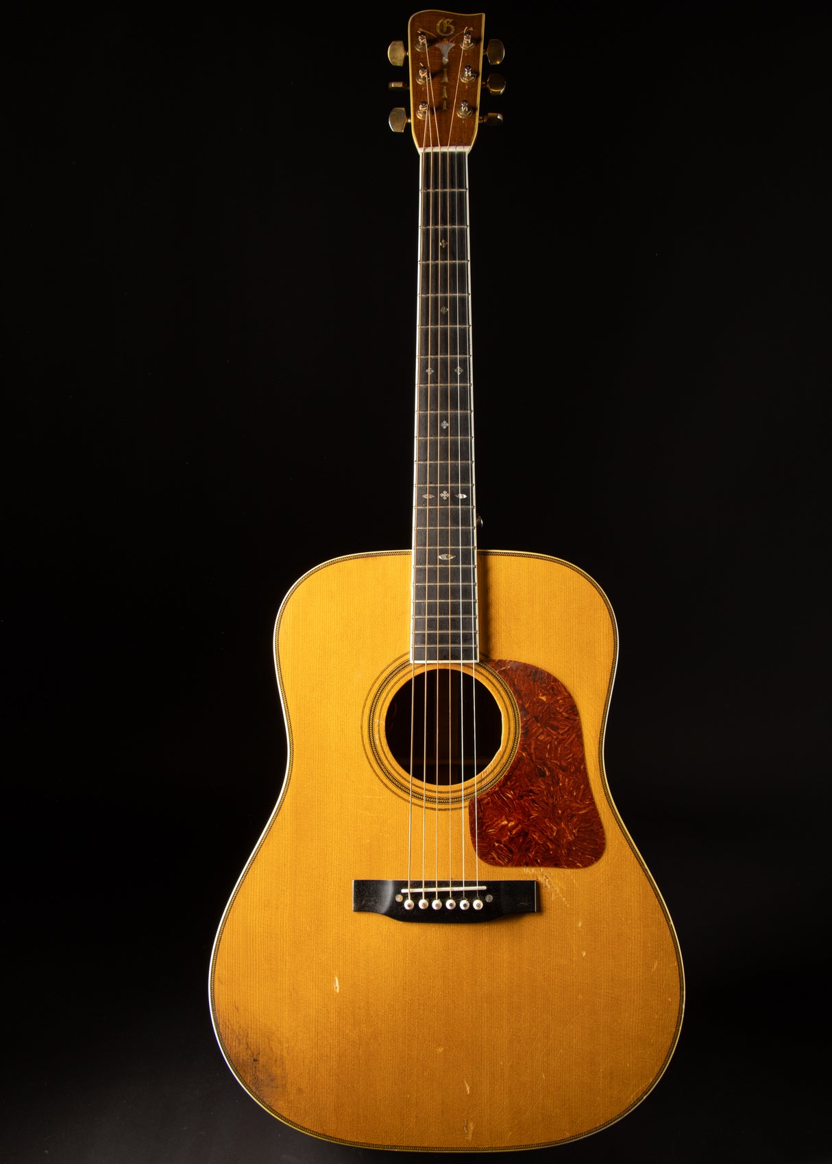 1979 Gallagher 71-Special Natural