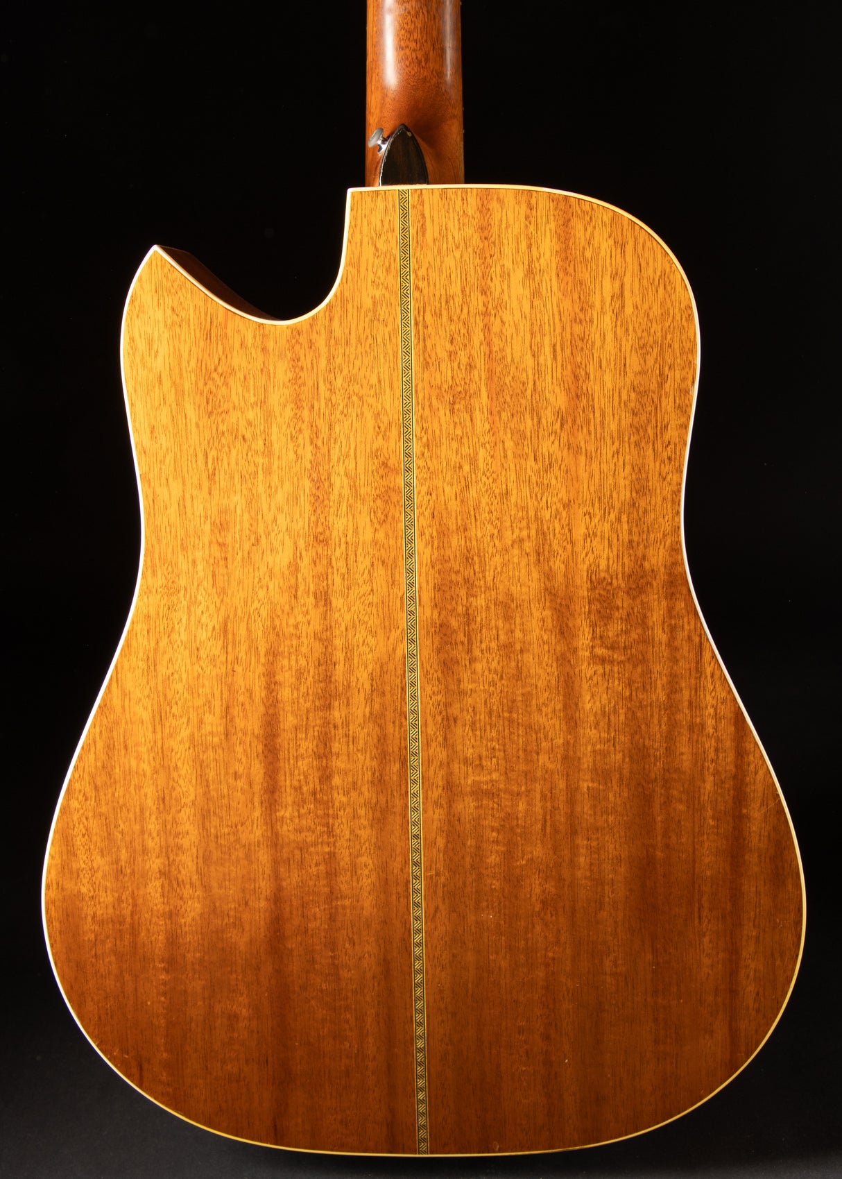 1982 Gallagher Doc Watson