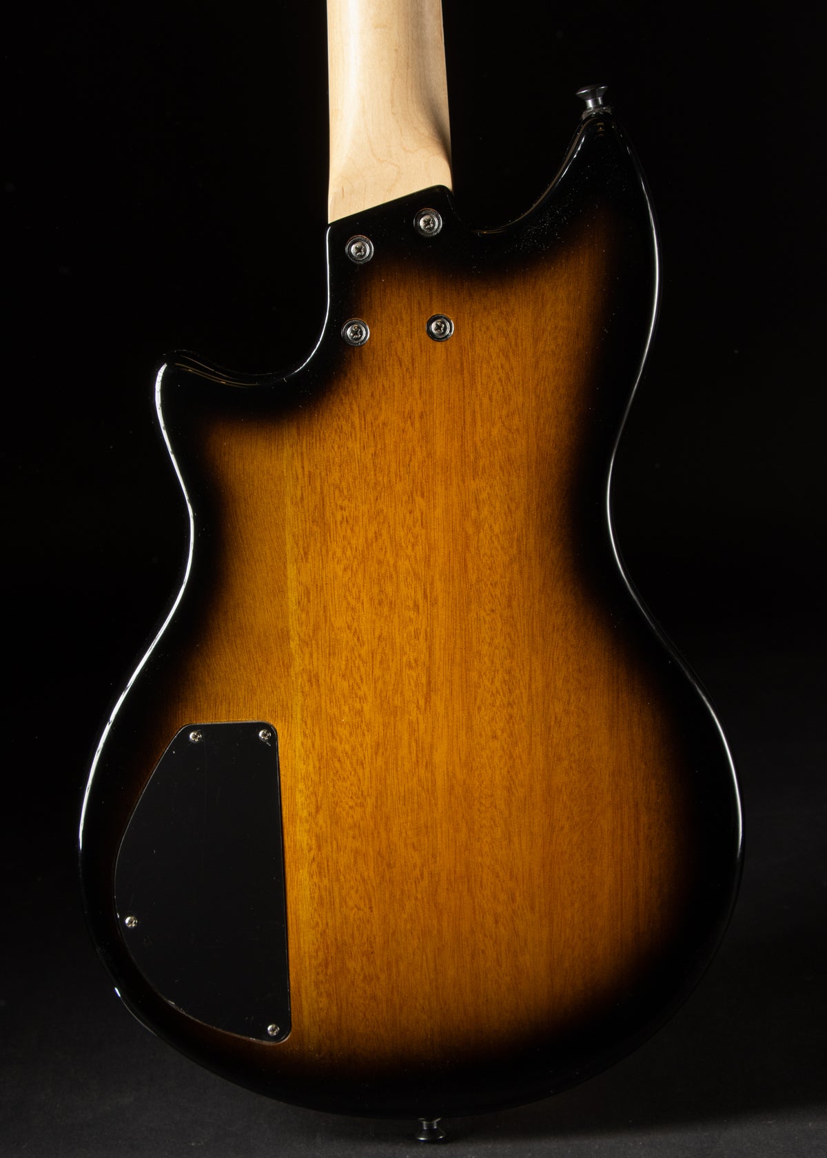 Recent Lakland Skyline HB-30