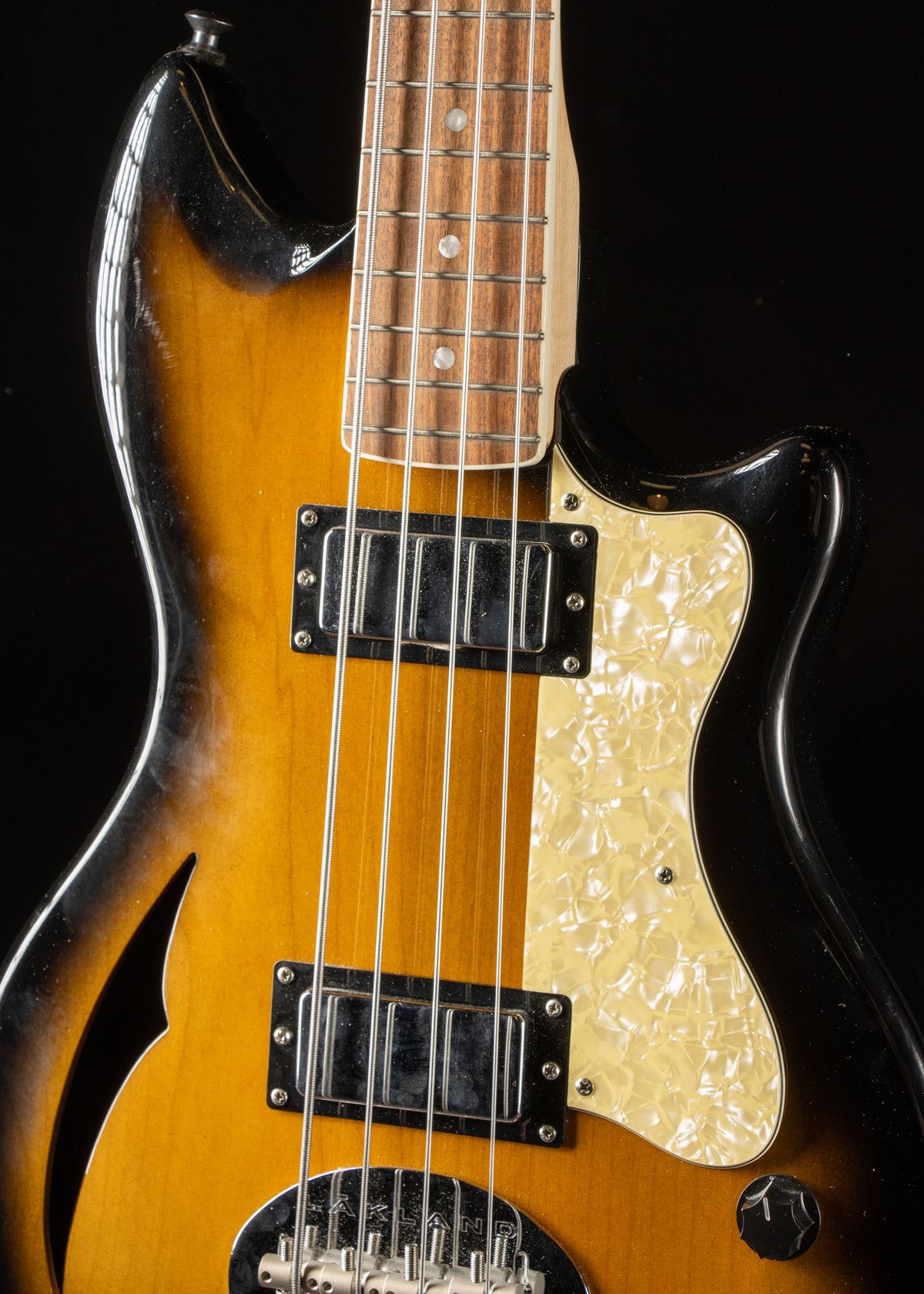 Recent Lakland Skyline HB-30