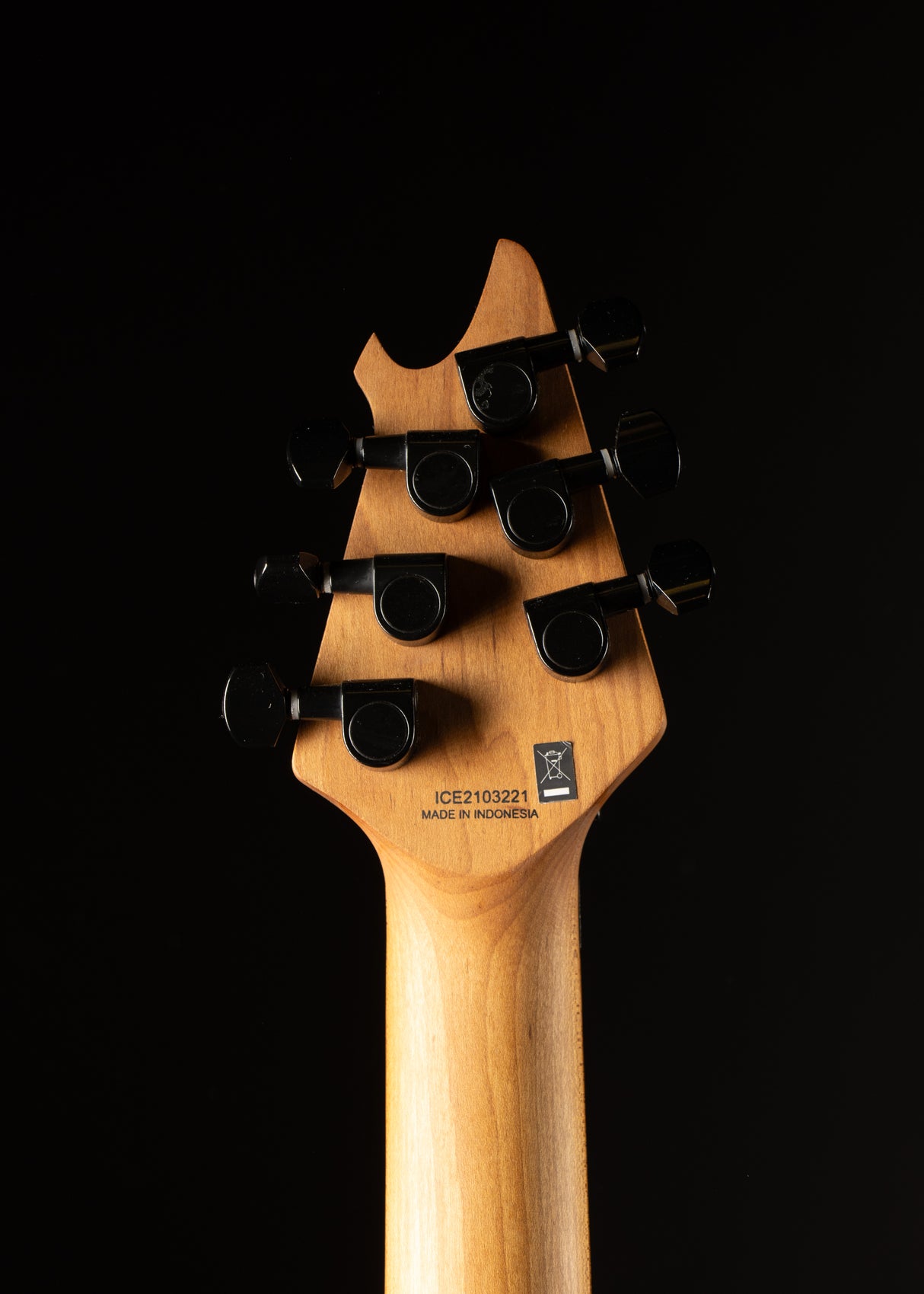 2021 EVH Wolfgang Standard Stealth Black