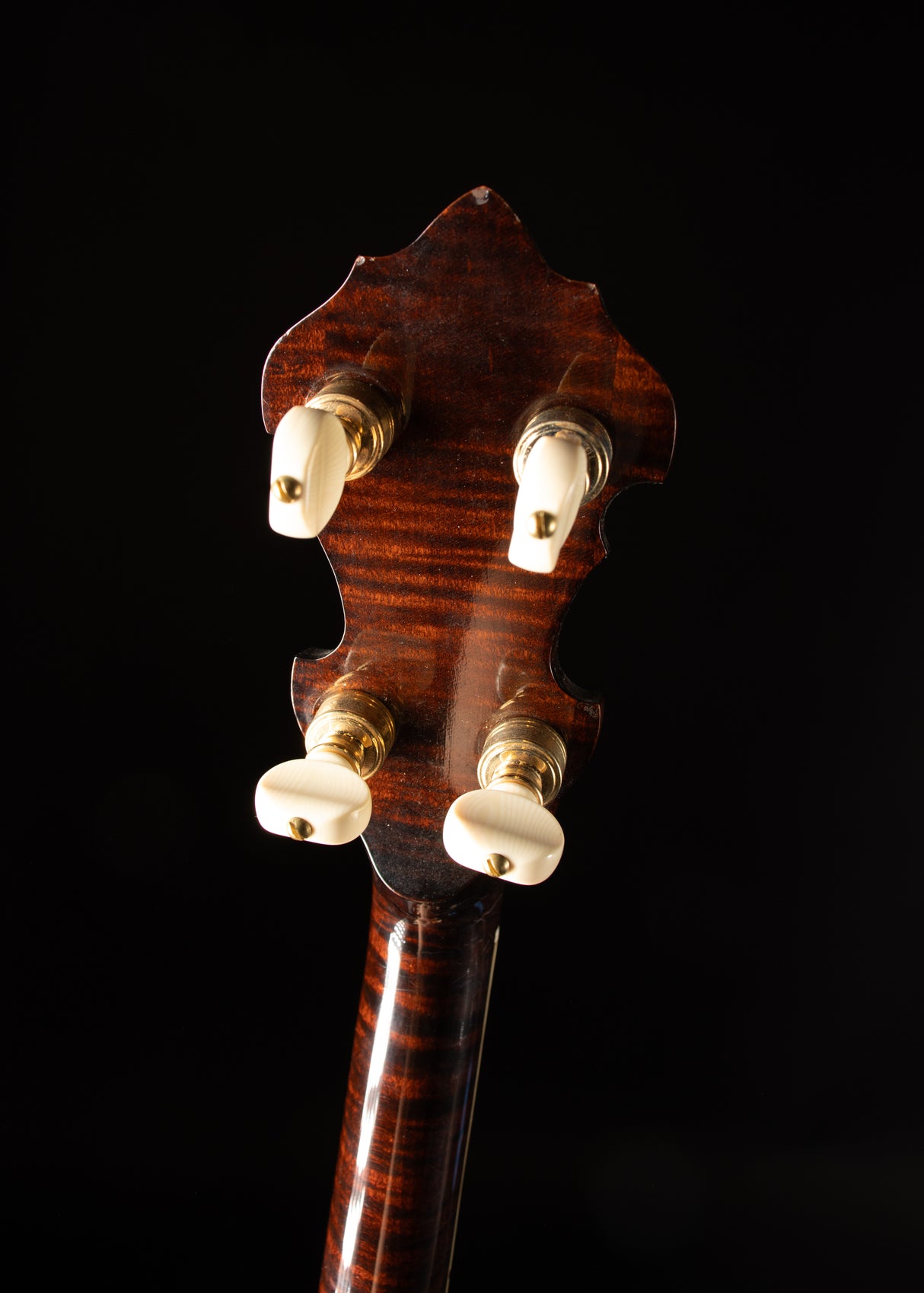 1929 Gibson TB Granada Conversion Banjo