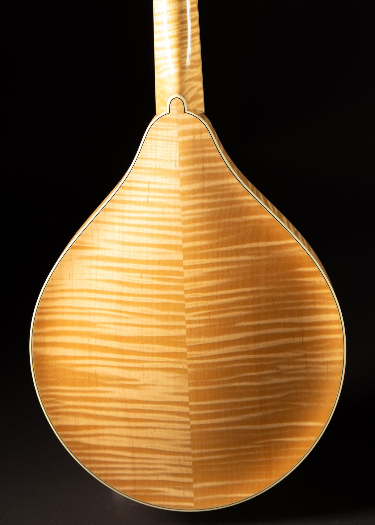 2009 Collings MT-20 Natural