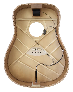 LR Baggs Anthem SL Tru-Mic & Element Acoustic Guitar Pickup System