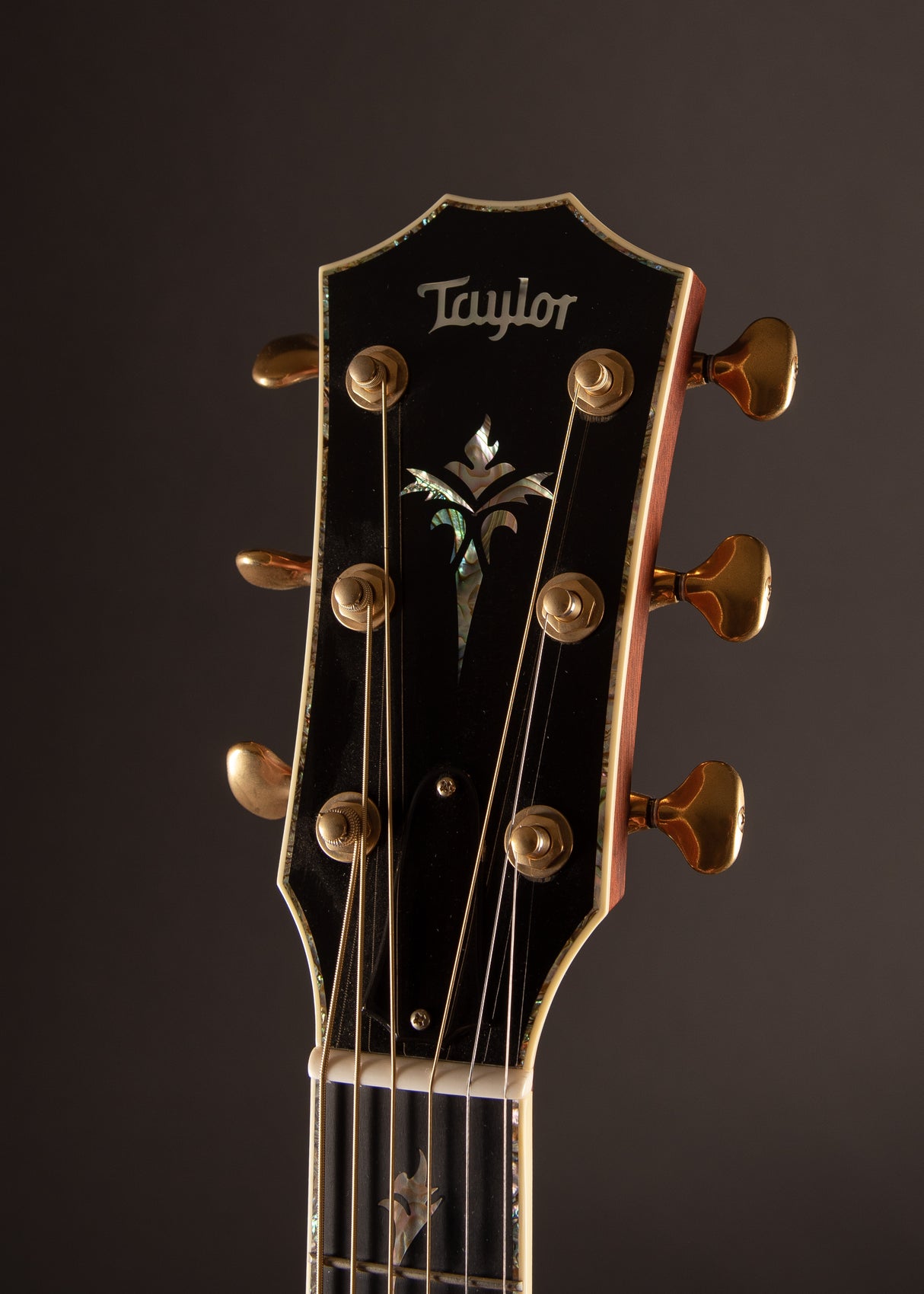 2008 Taylor Custom Shop PDSN Cocobolo Natural