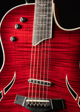 2001 Taylor T-5 Red Edgeburst