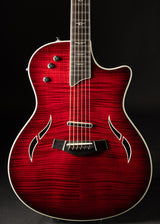 2001 Taylor T-5 Red Edgeburst