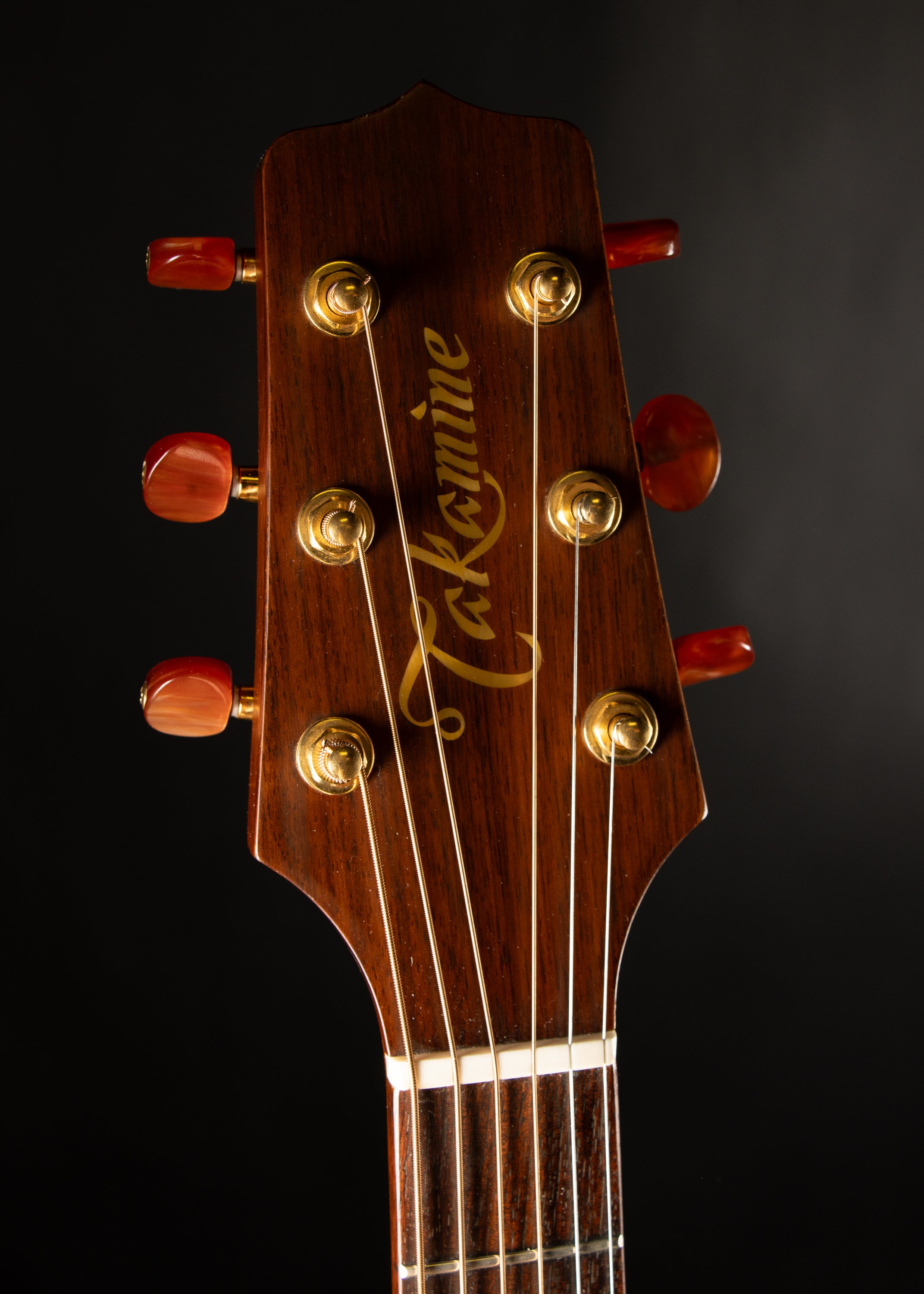 1993 Takamine EN-10 Natural – Music City Vintage Guitars