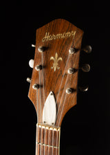 1960s Harmony H-1310 Archtop