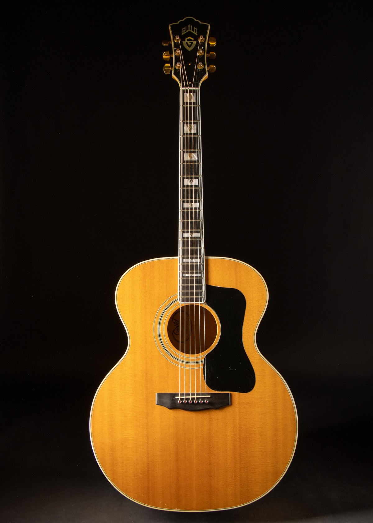 1978 Guild Navarre F-50 Natural