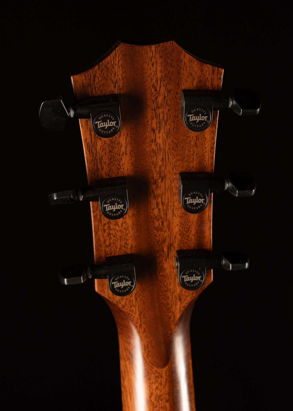 Taylor 322 V Class Tasmanian Blackwood