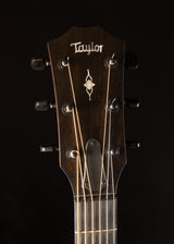 Taylor 322 V Class Tasmanian Blackwood