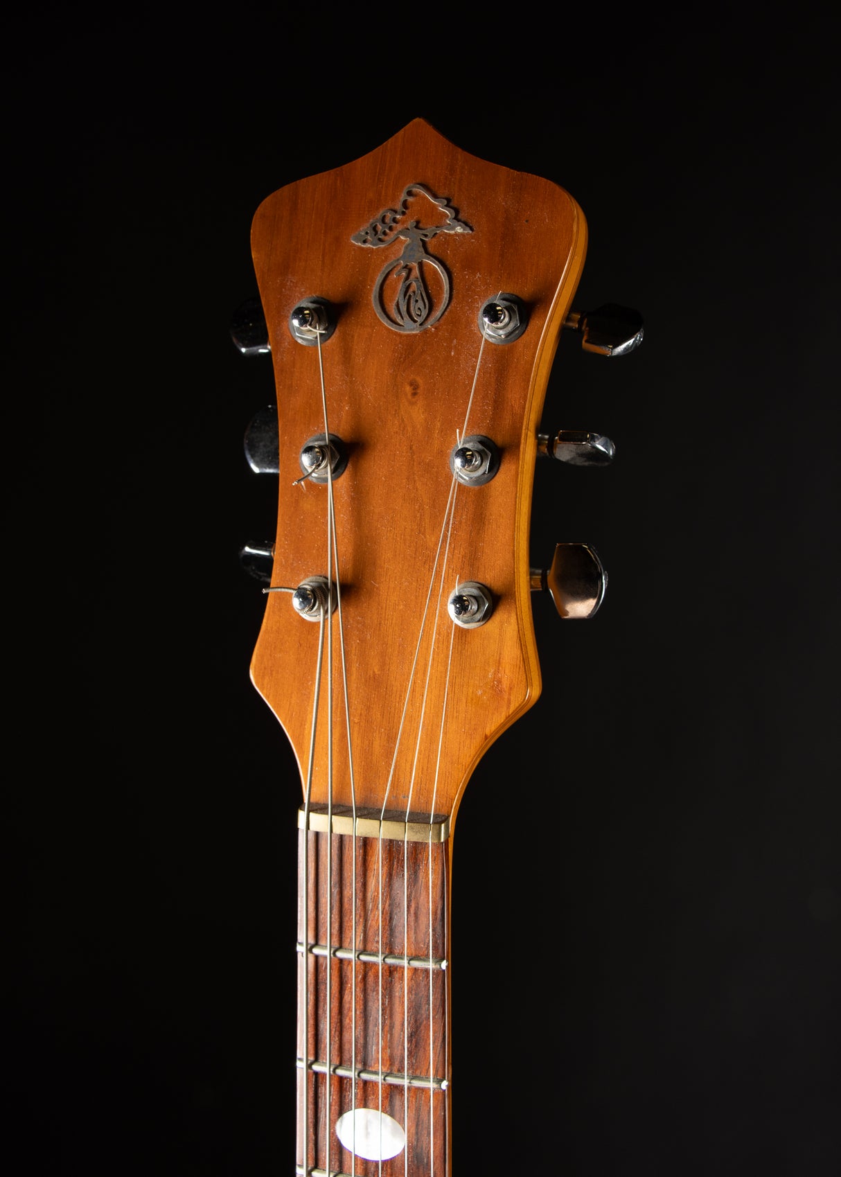 1976 Alembic Series I Natural