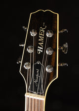2008 Hamer Newport Pro