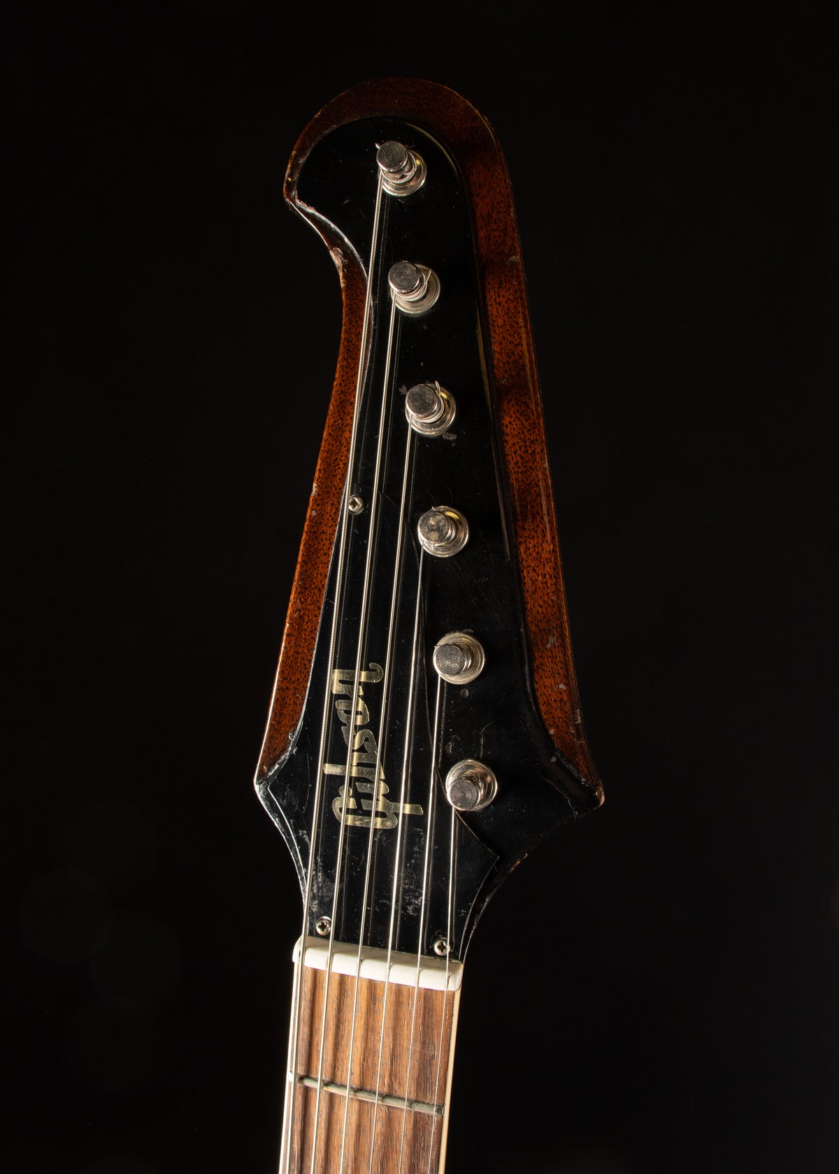 1964 Gibson Firebird V s# 240488 w/ OHC