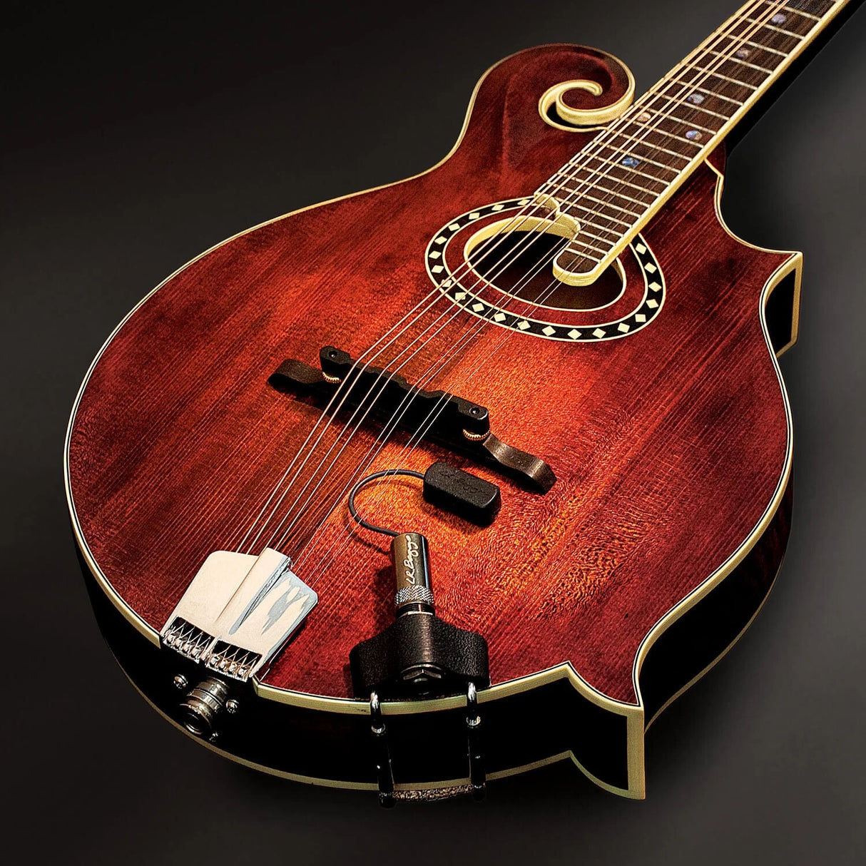 LR Baggs Radius Mandolin Pickup