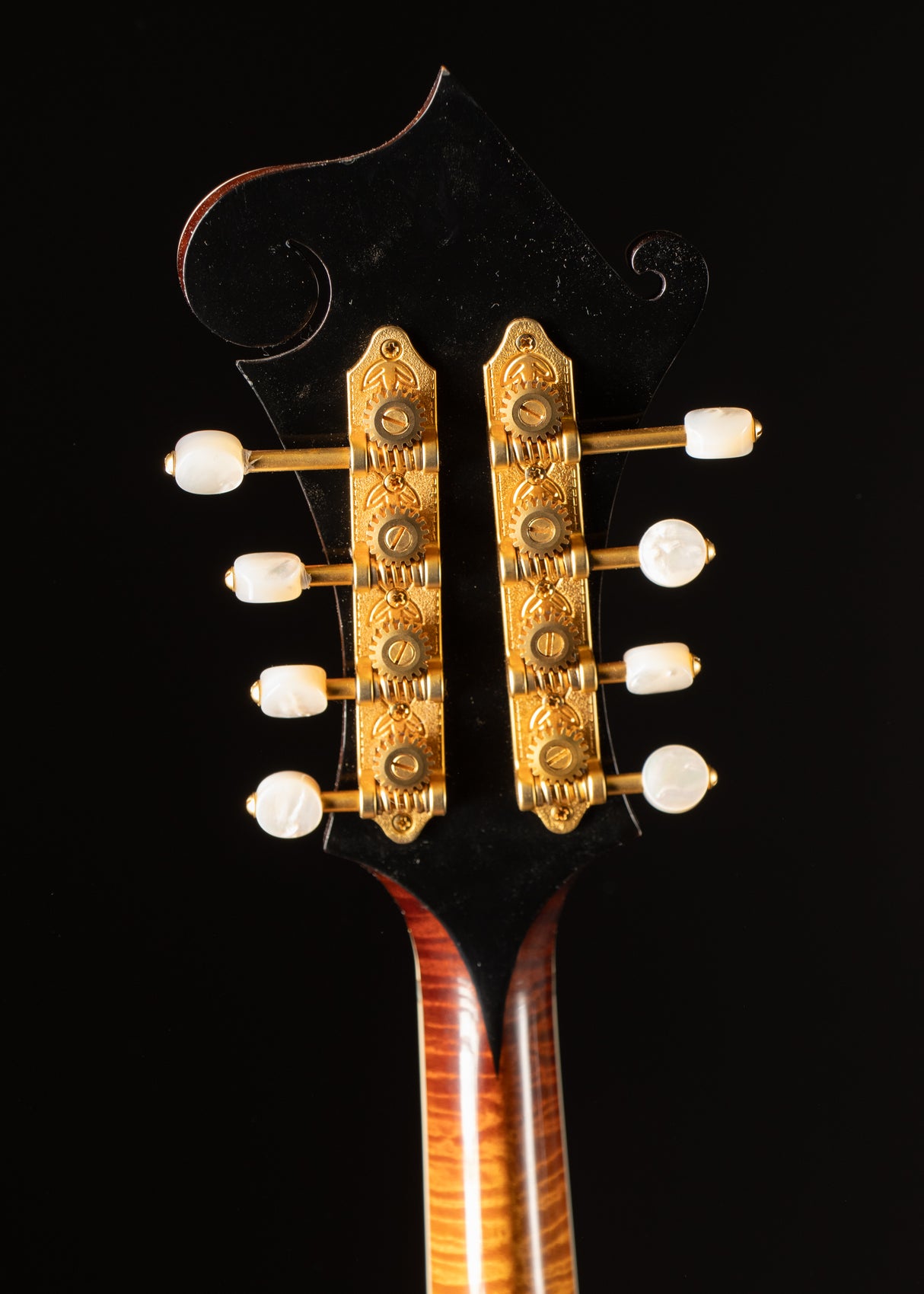 2022 Gibson F-5 Fern Sunburst
