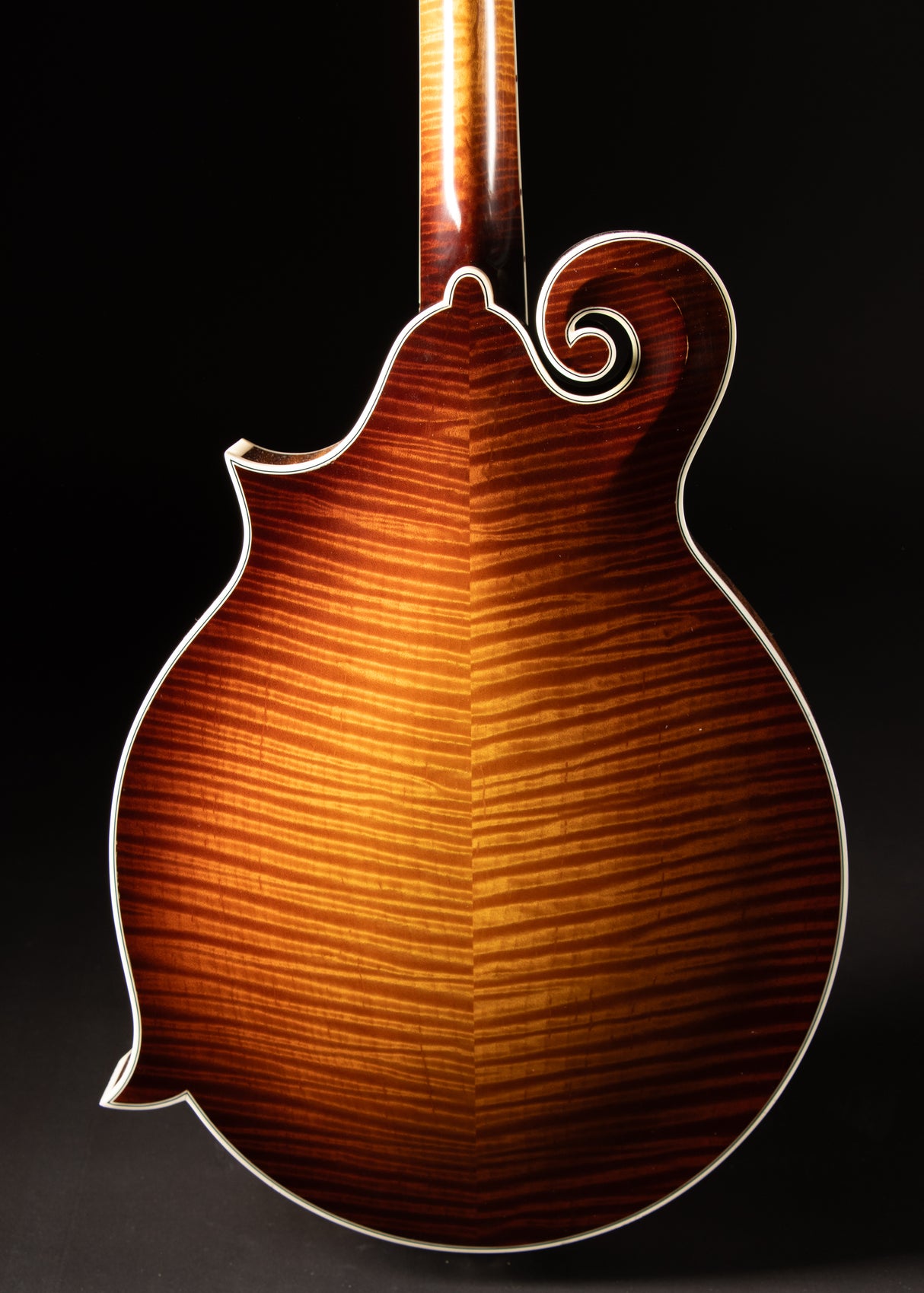 2022 Gibson F-5 Fern Sunburst