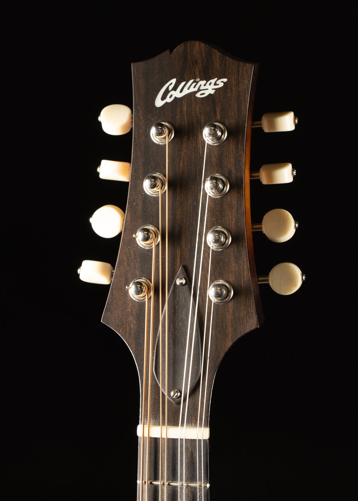 Collings Mandolin MT