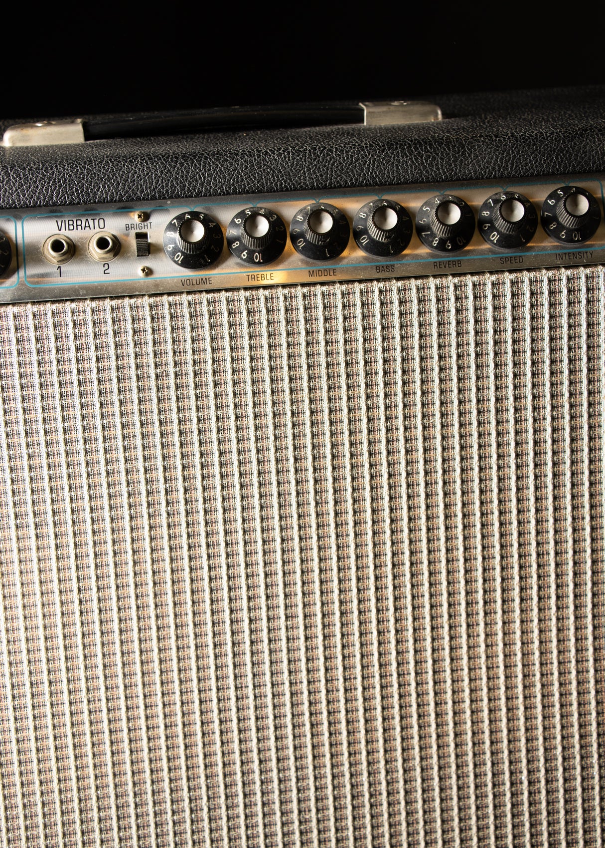 1973 Fender Twin Reverb