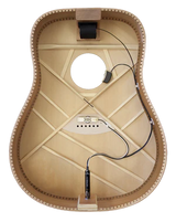 LR Baggs Anthem SL Tru-Mic & Element Acoustic Guitar Pickup System